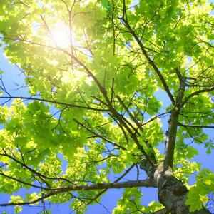 小樱被鸣人❌无码视频
